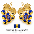 Barbados Earring With Enamel