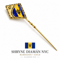Barbados Pin