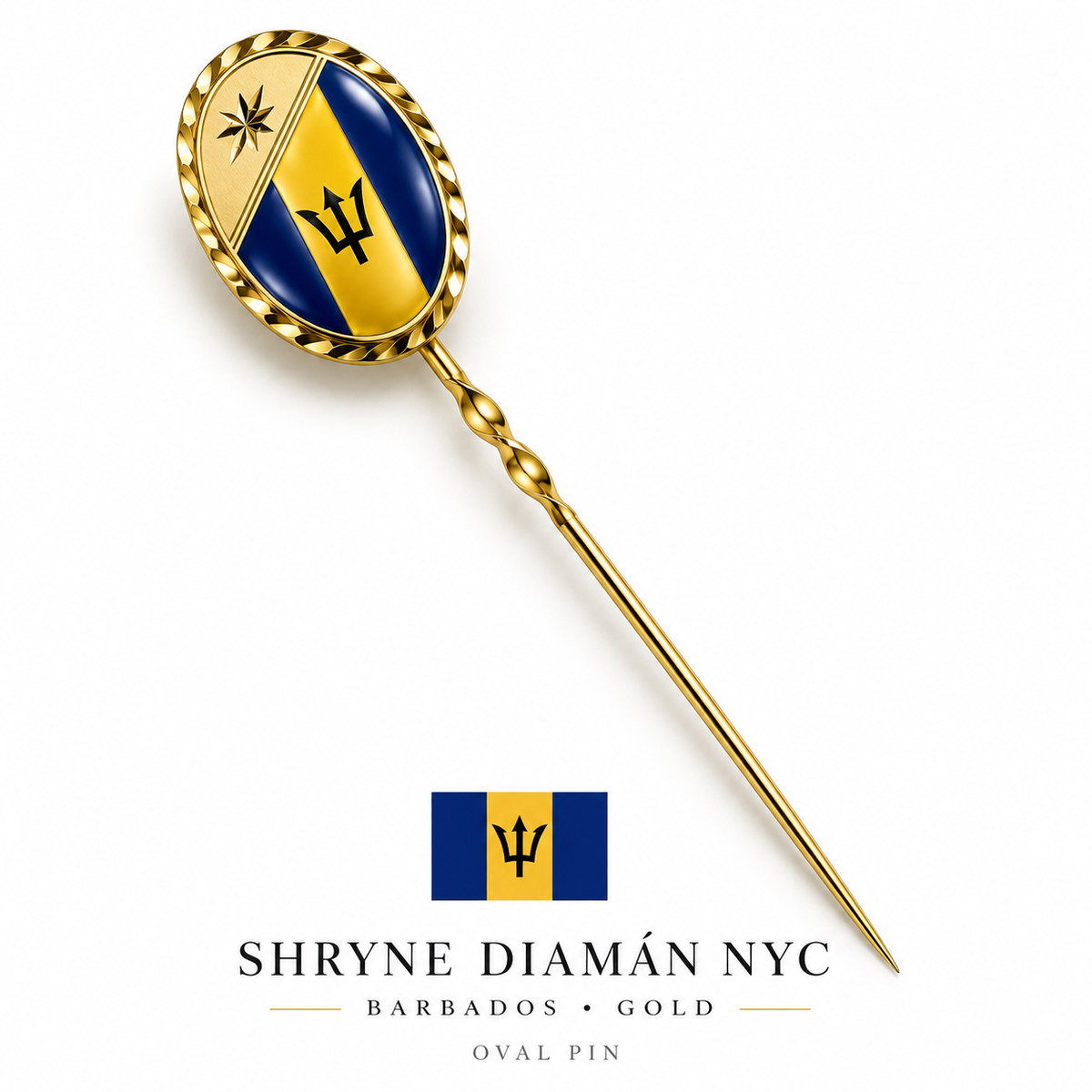 Barbados Pin